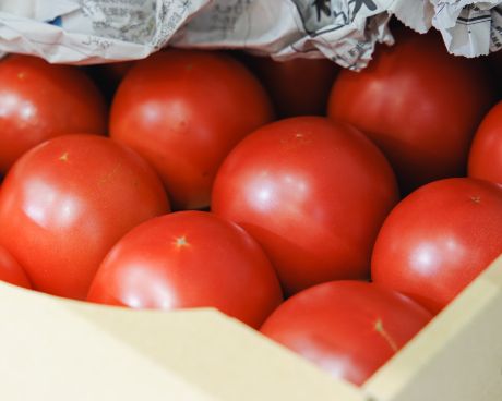 en. organic｜オランダ通りのオーガニックなスーパーマーケット