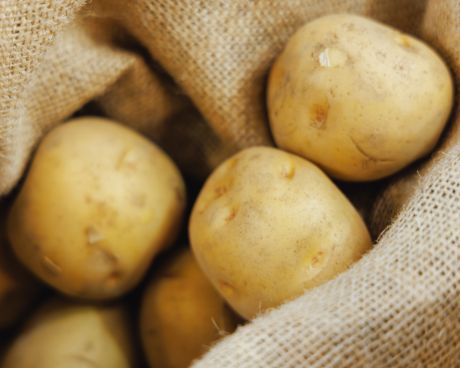 en. organic｜オランダ通りのオーガニックなスーパーマーケット